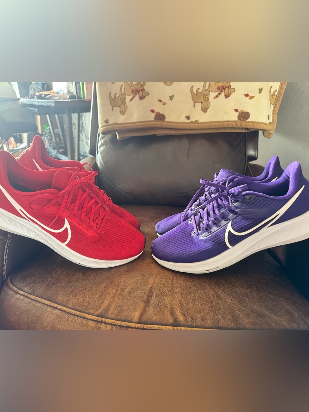 Nike Men’s Athletic Shoes - Red and Purple, 2 pair- Nike Air Pegasus 39, Size 11